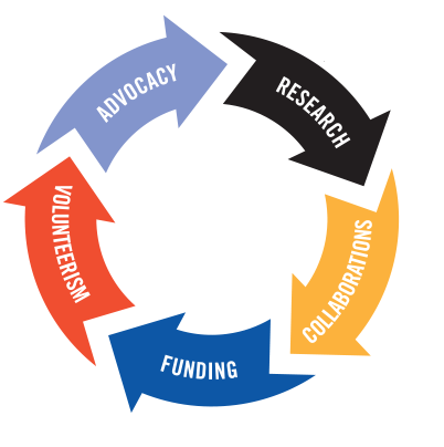 Impact Wheel